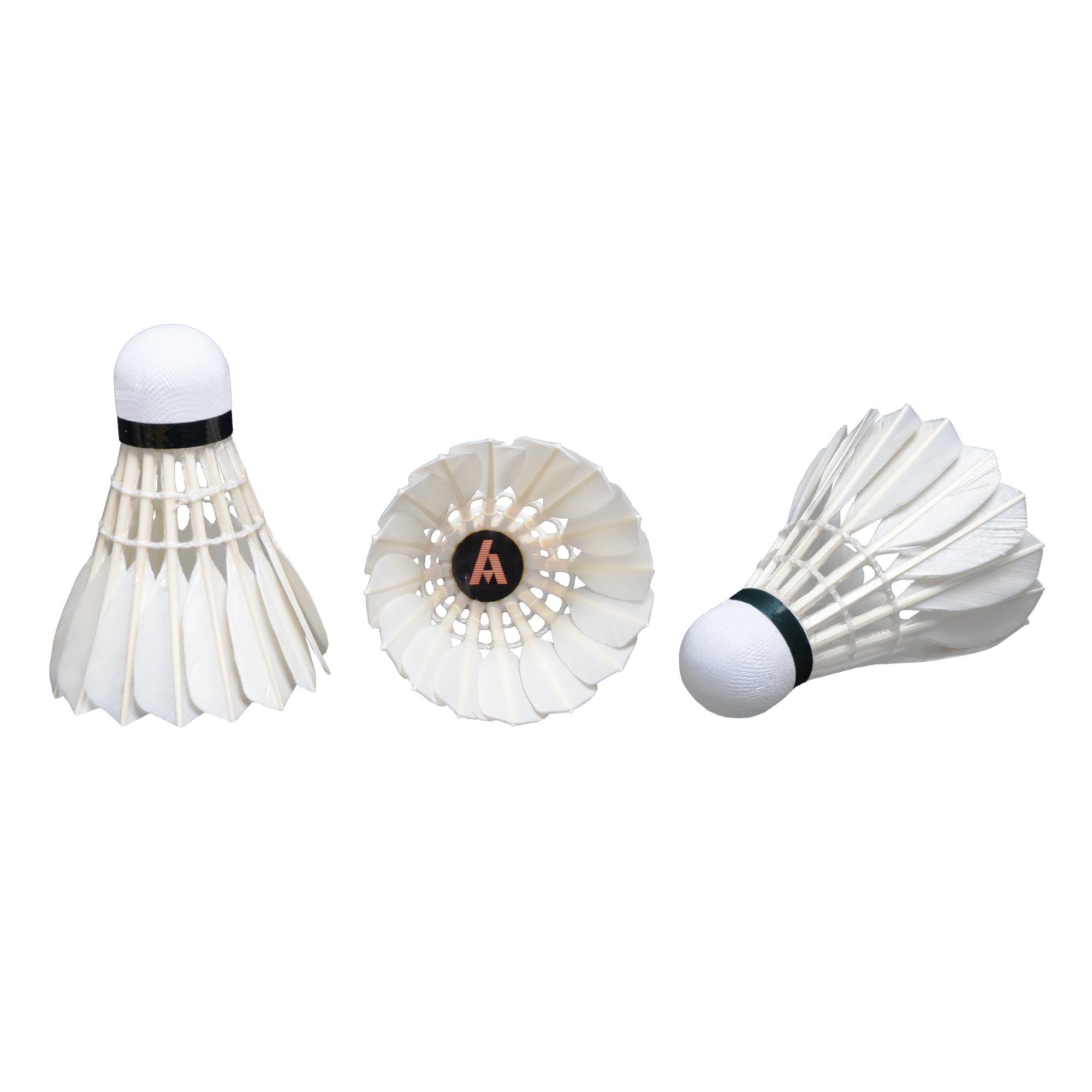 Ashaway Black Feather Shuttlecock