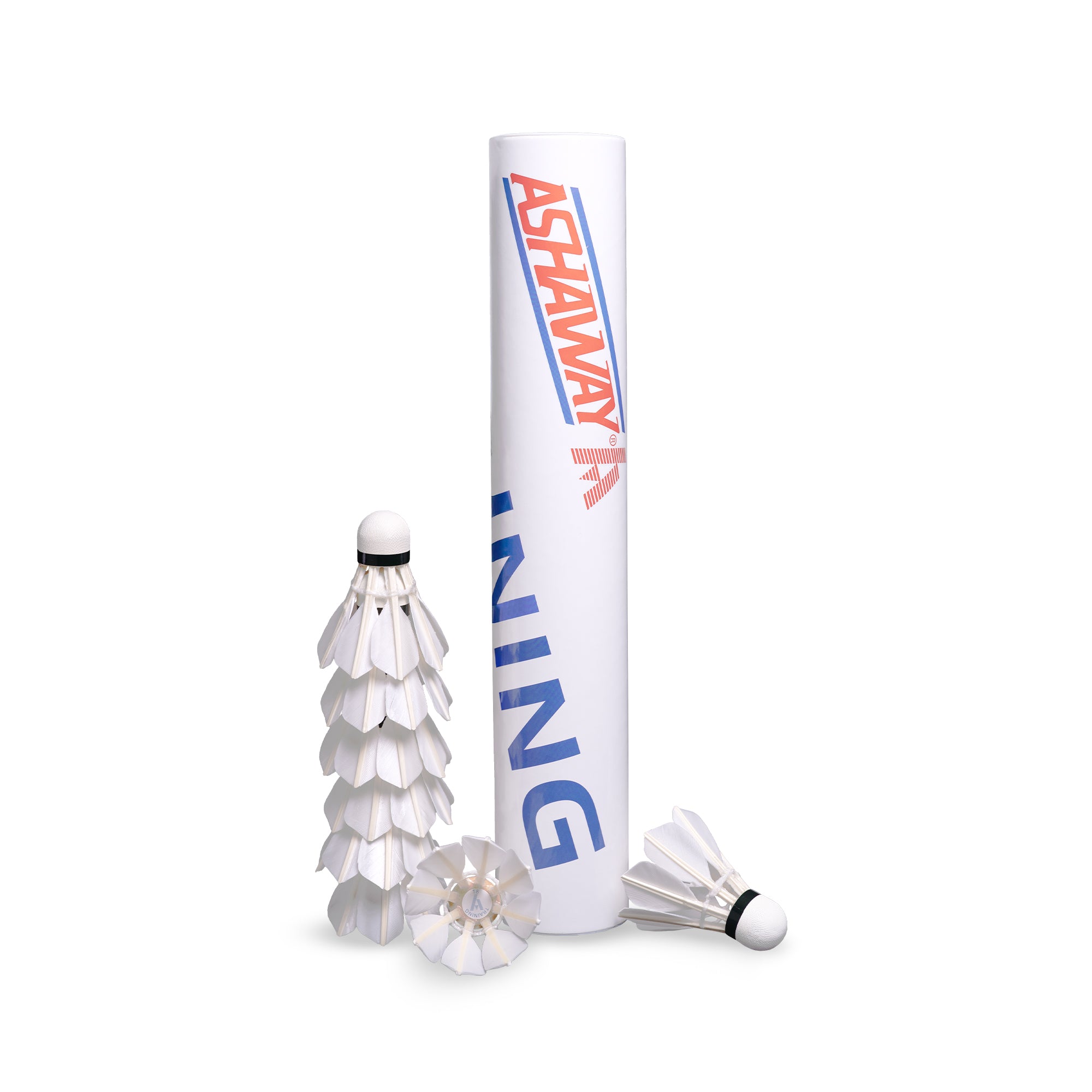 Ashaway Training T8
