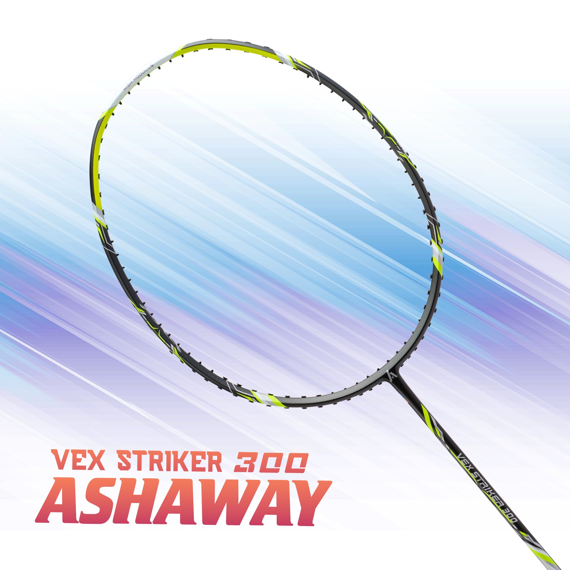ASHAWAY VEX STRIKER 300
