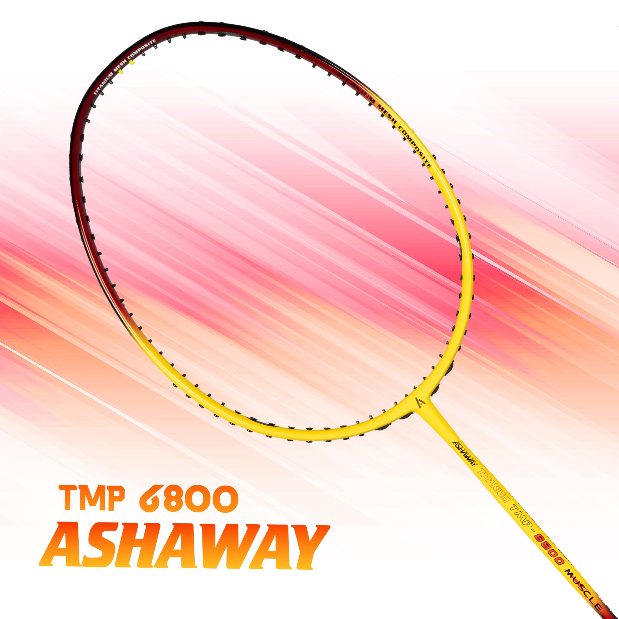 ASHAWAY TMP 6800