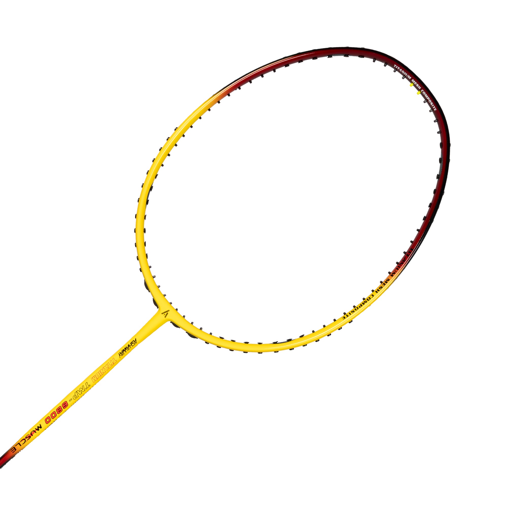 ASHAWAY TMP 6800