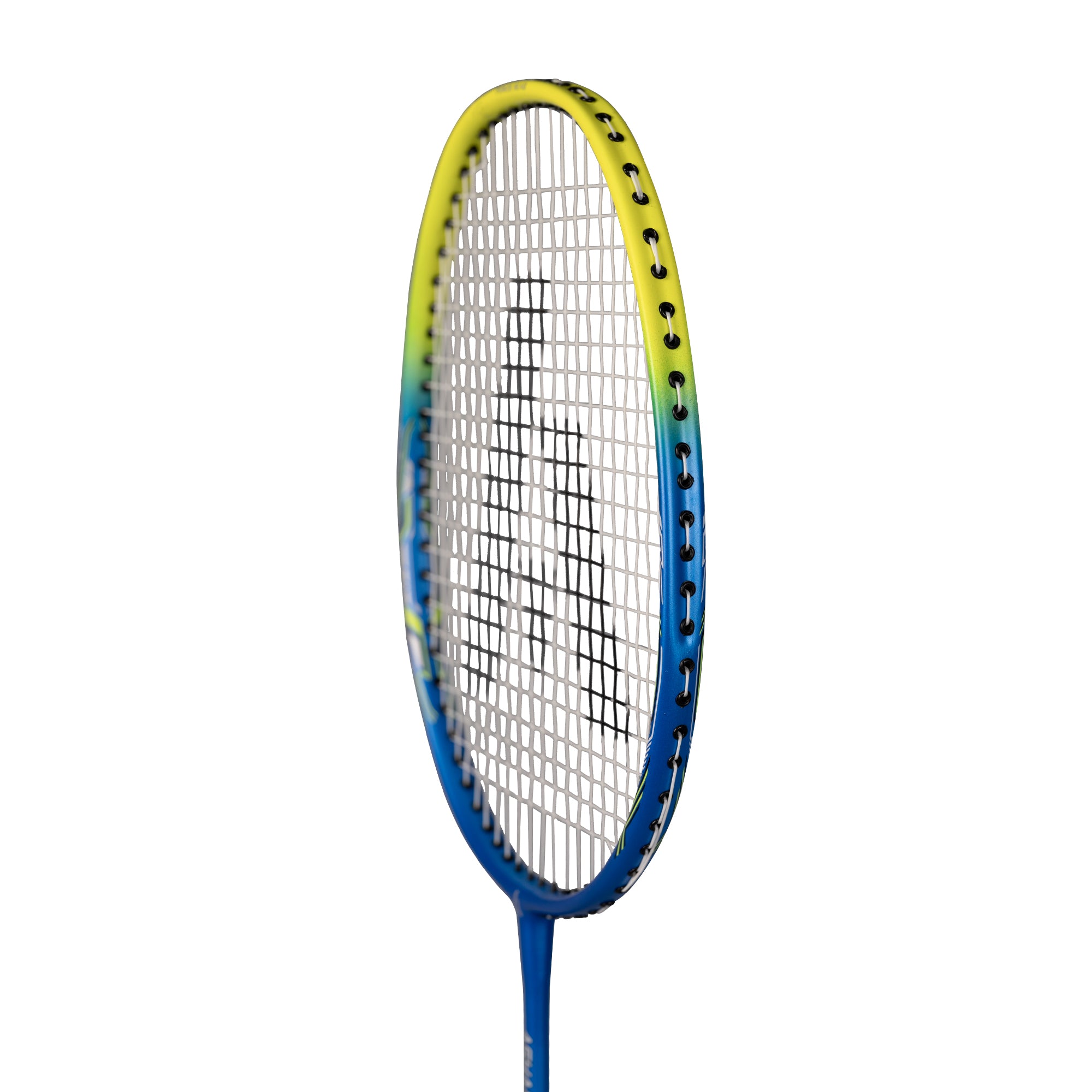 ASHAWAY AM 12 SQ