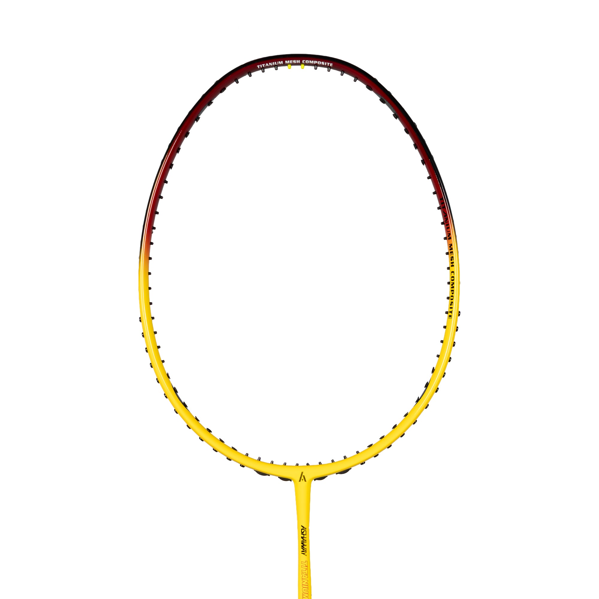 ASHAWAY TMP 6800