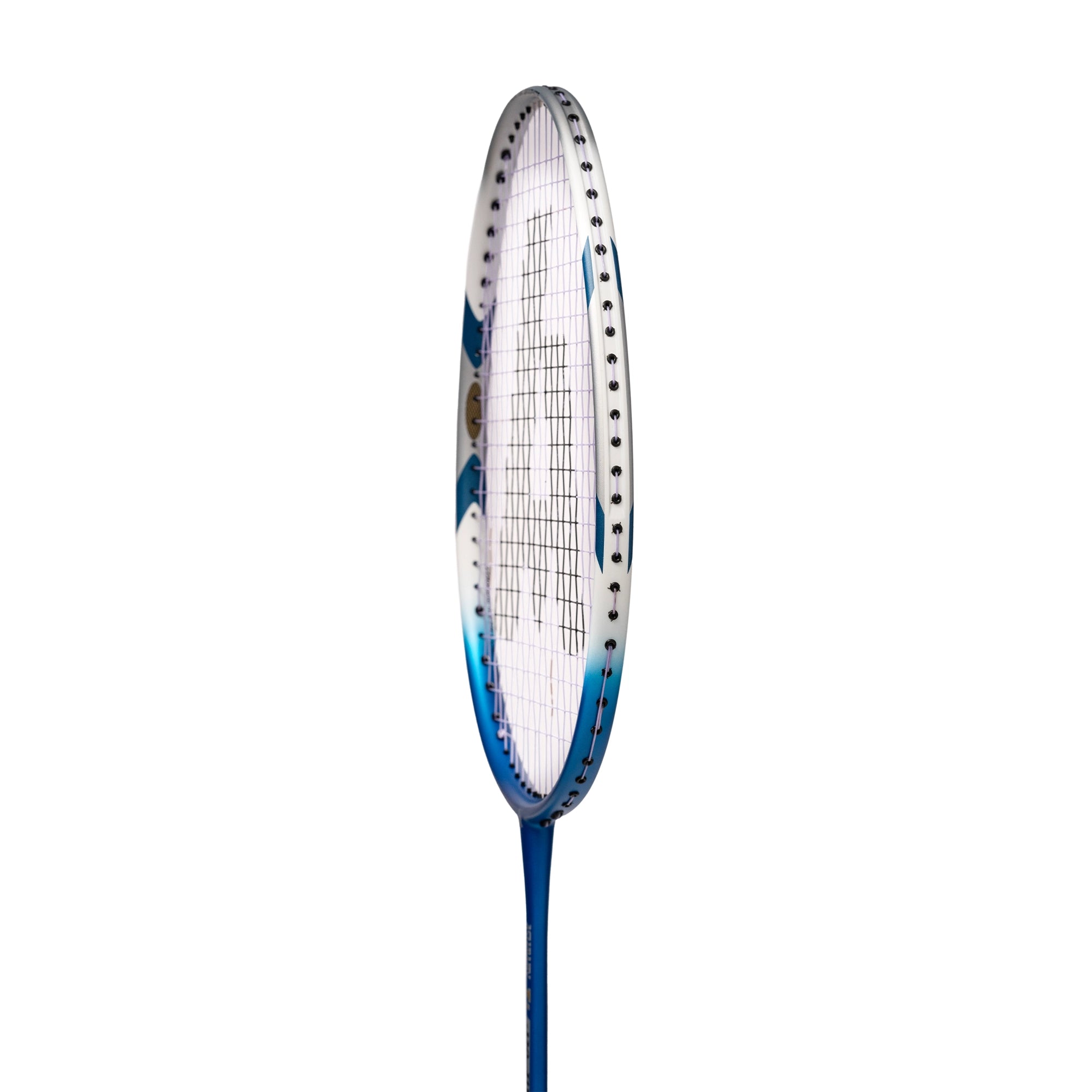 ASHAWAY TI 120 MESH BLUE