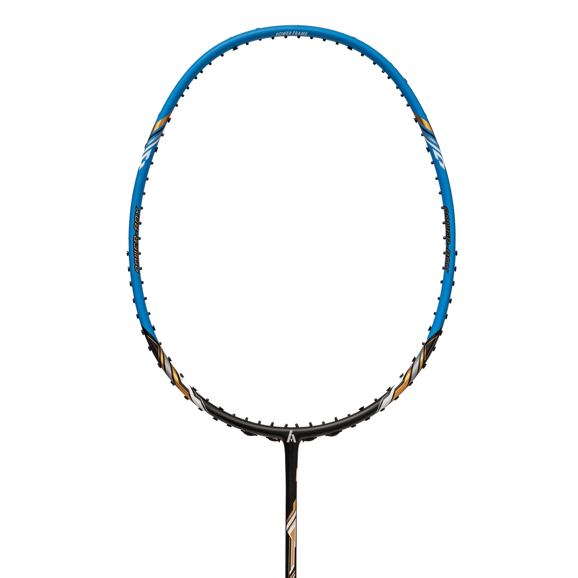 ASHAWAY FORCE GX 100