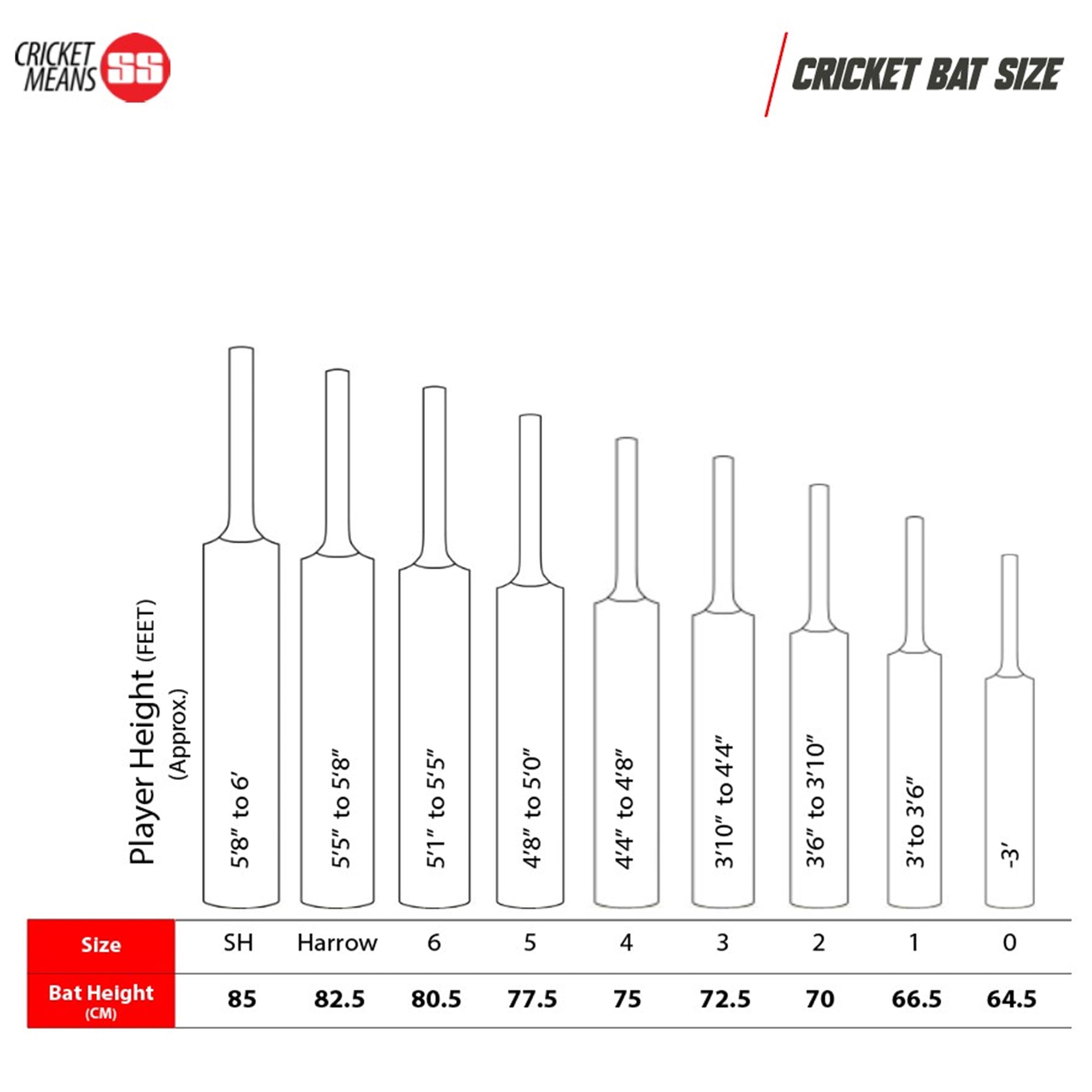 GG Smacker English Willow Cricket bat