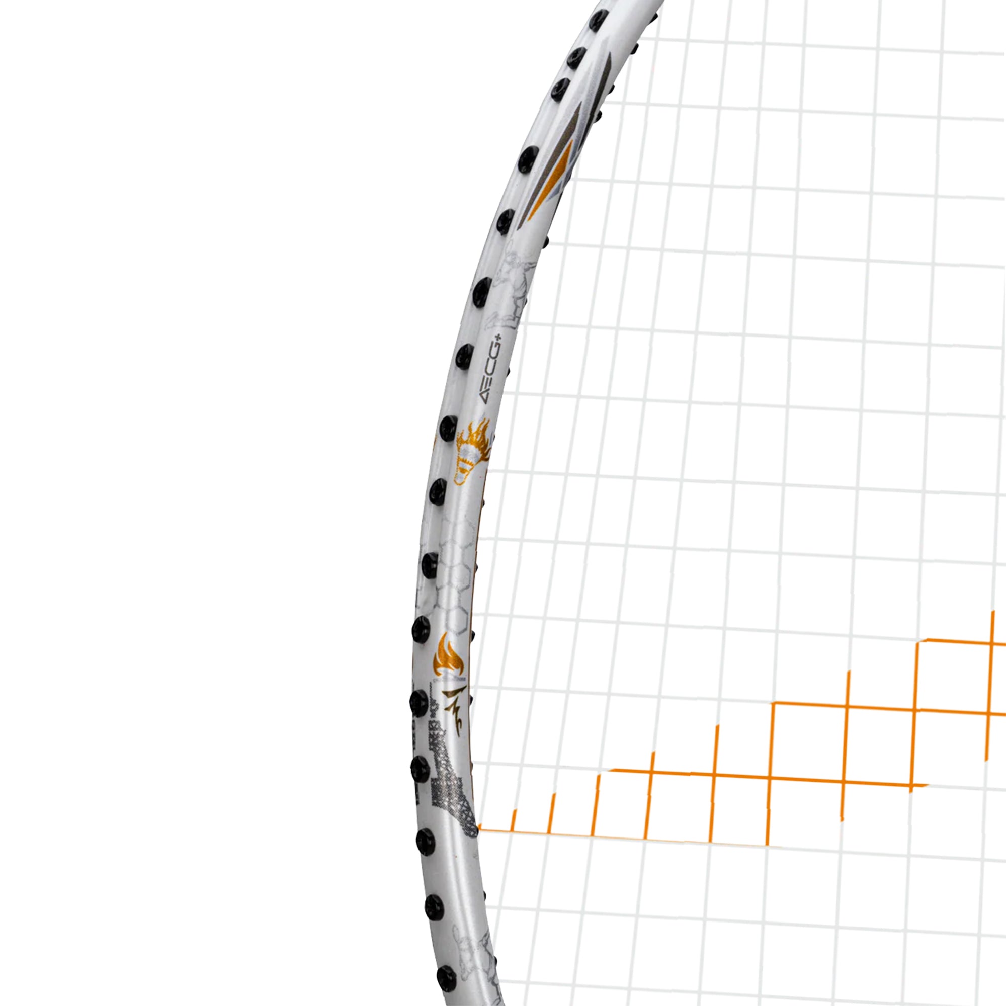 HUNDRED GLORY LIMITED EDITION