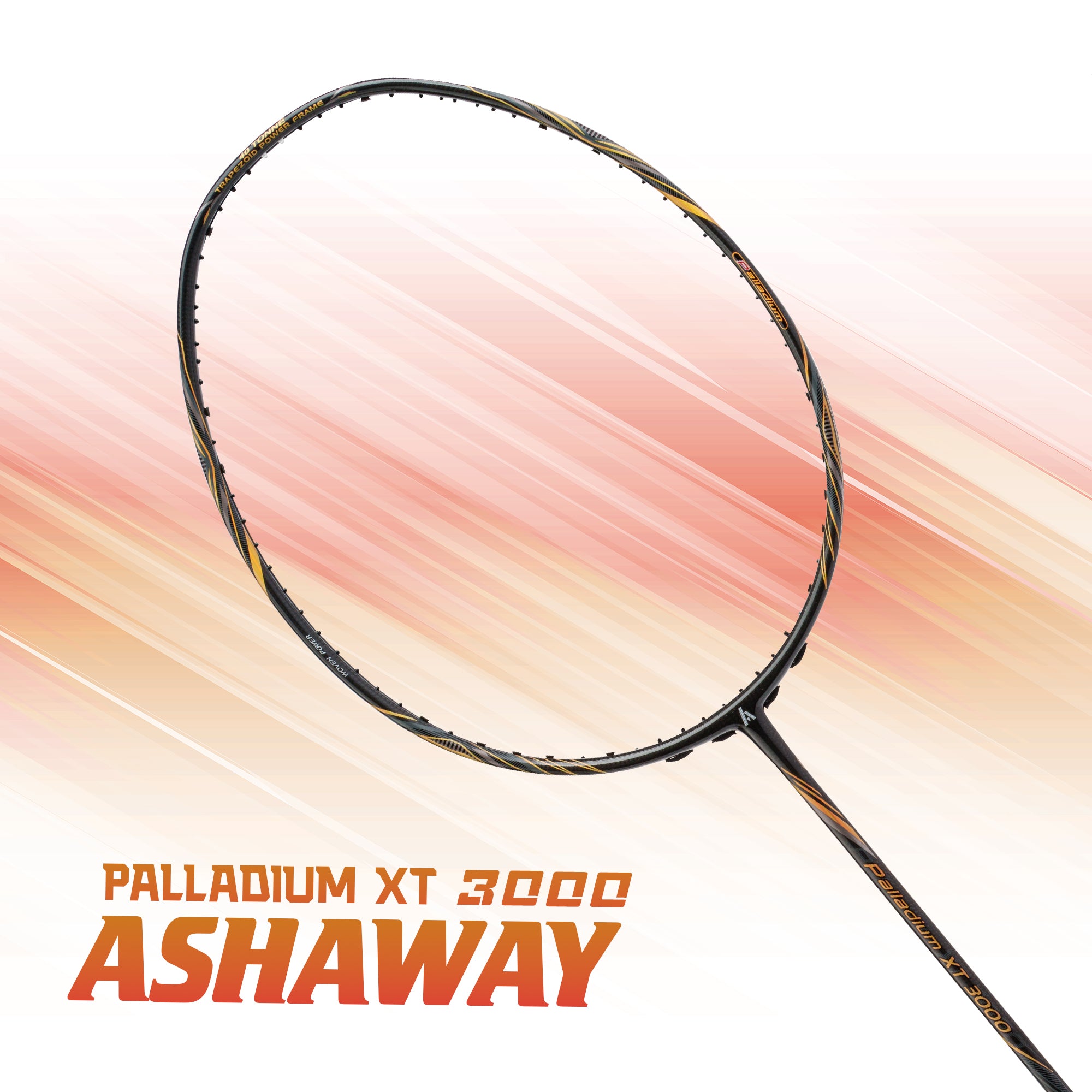 ASHAWAY PALLADIUM XT 3000