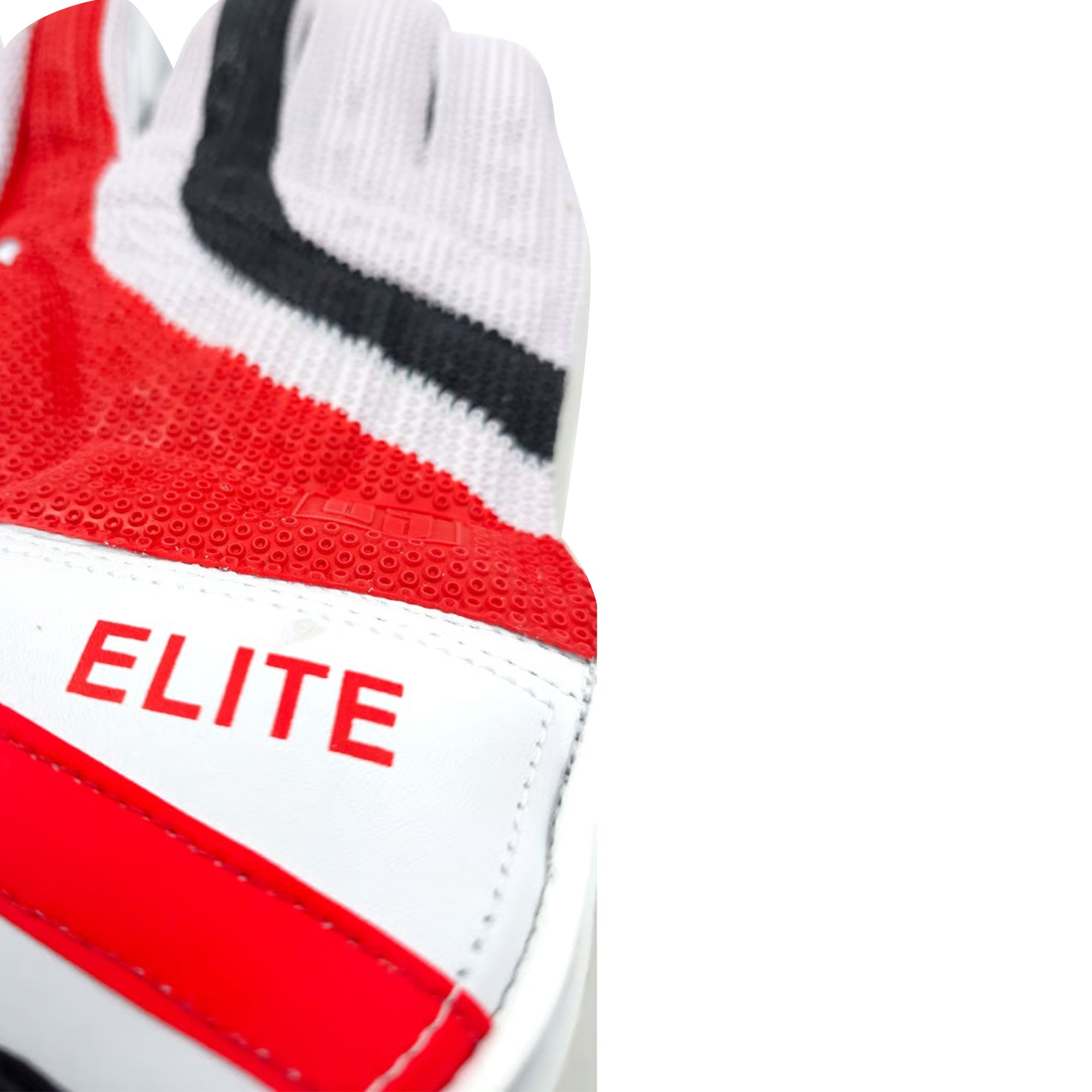 SS Elite Cricket Wicket Keeping Gloves (Men)