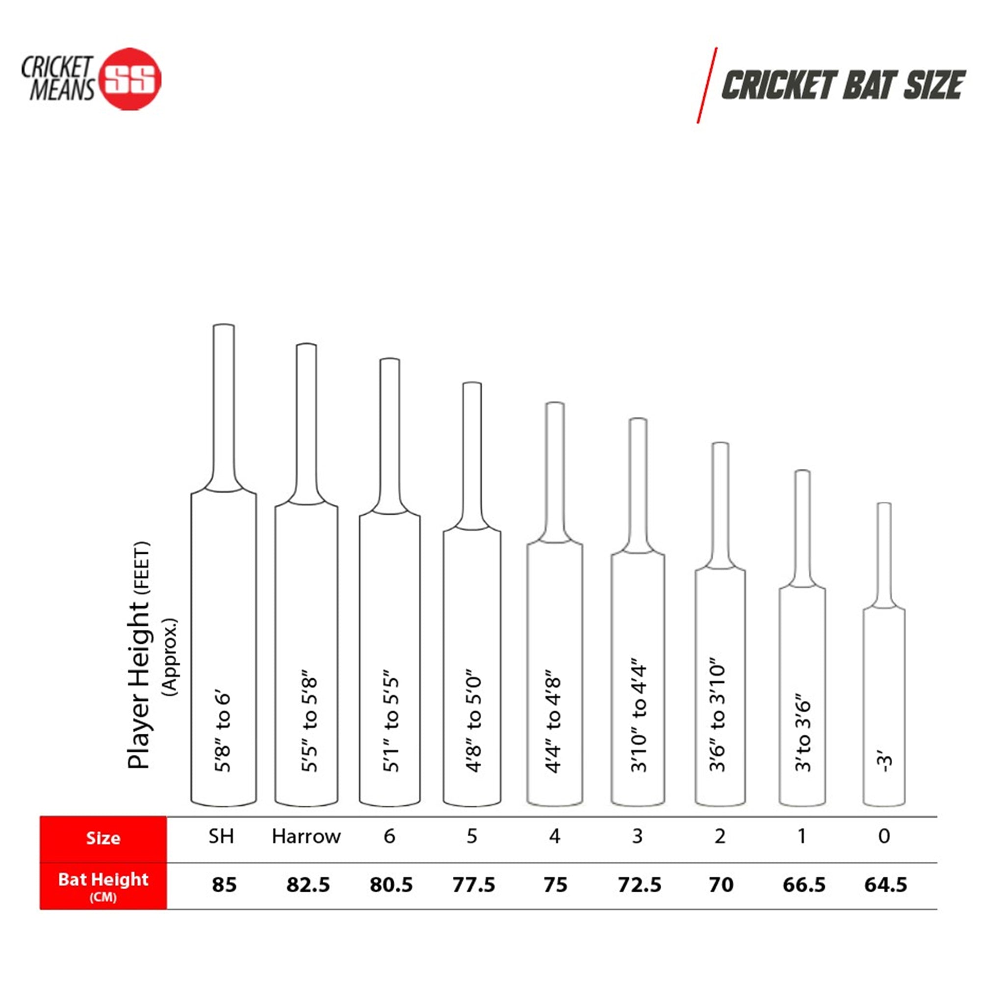 SS GG Smacker Blaster English Willow Cricket Bat – SH