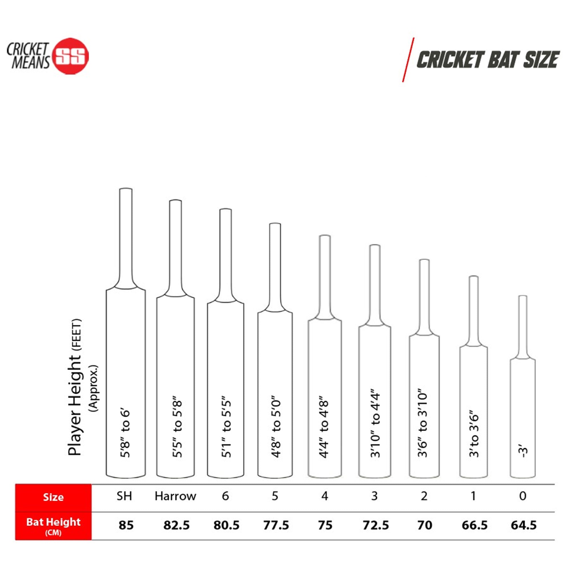 SS GG Smacker Punch English Willow Cricket Bat – SH