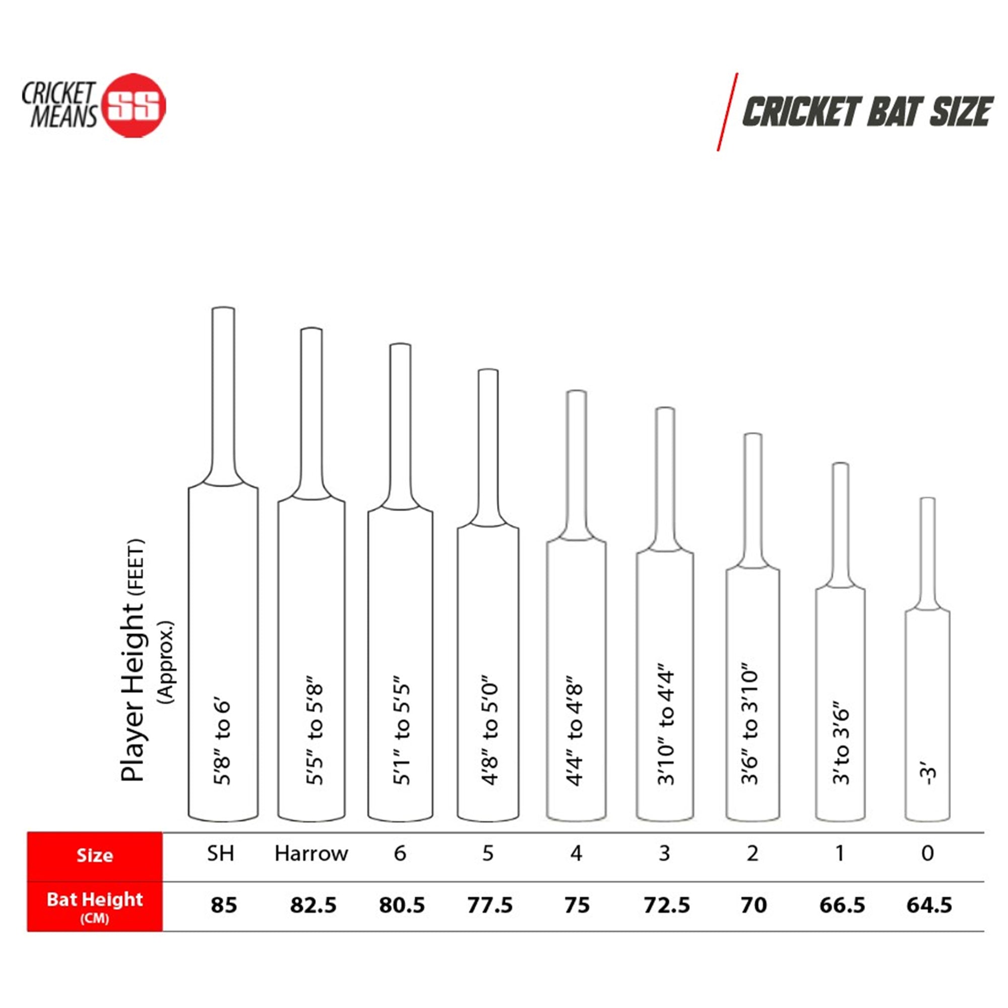 SS MaxiMus English Willow Cricket Bat -SH