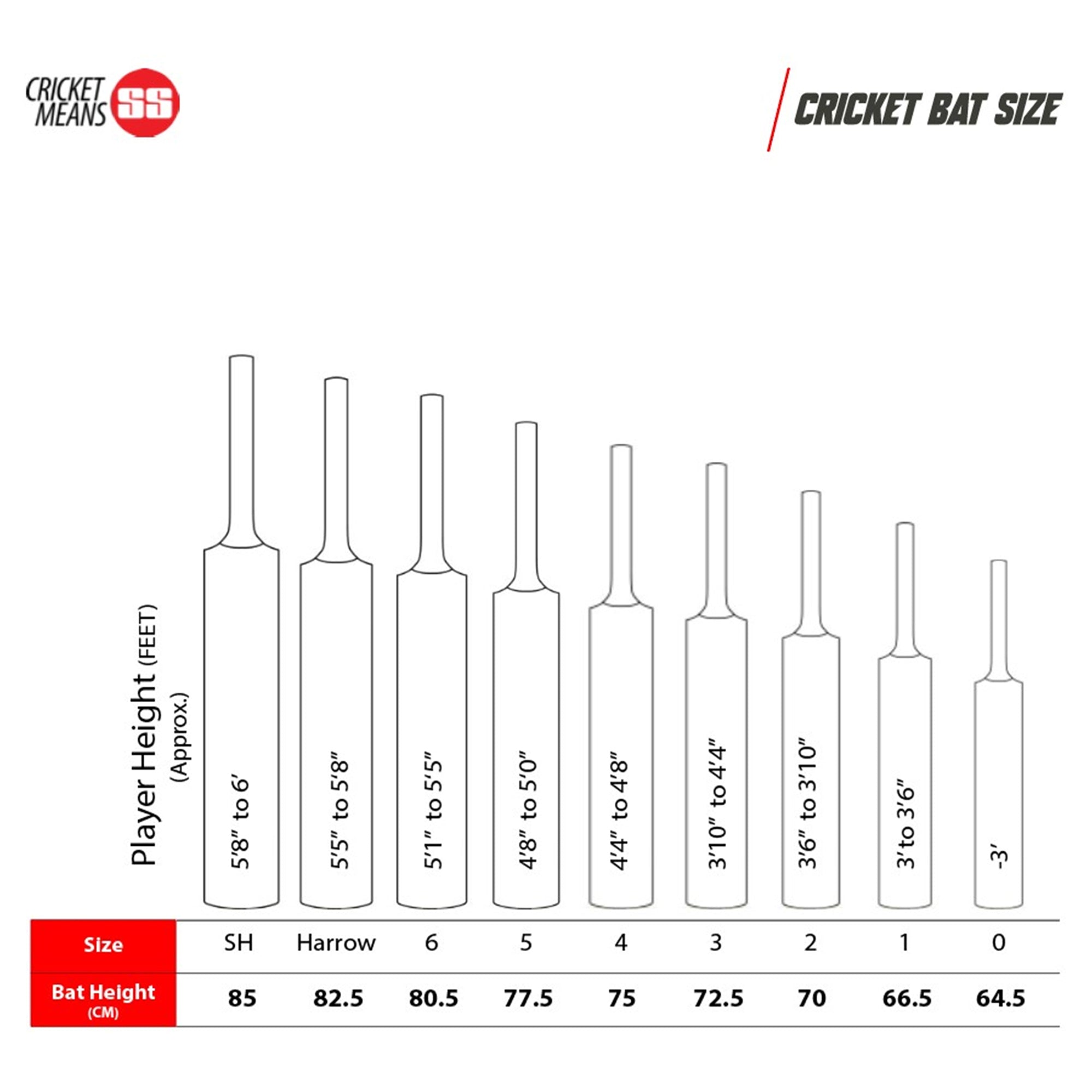 SS Orange English Willow Cricket Bat – SH