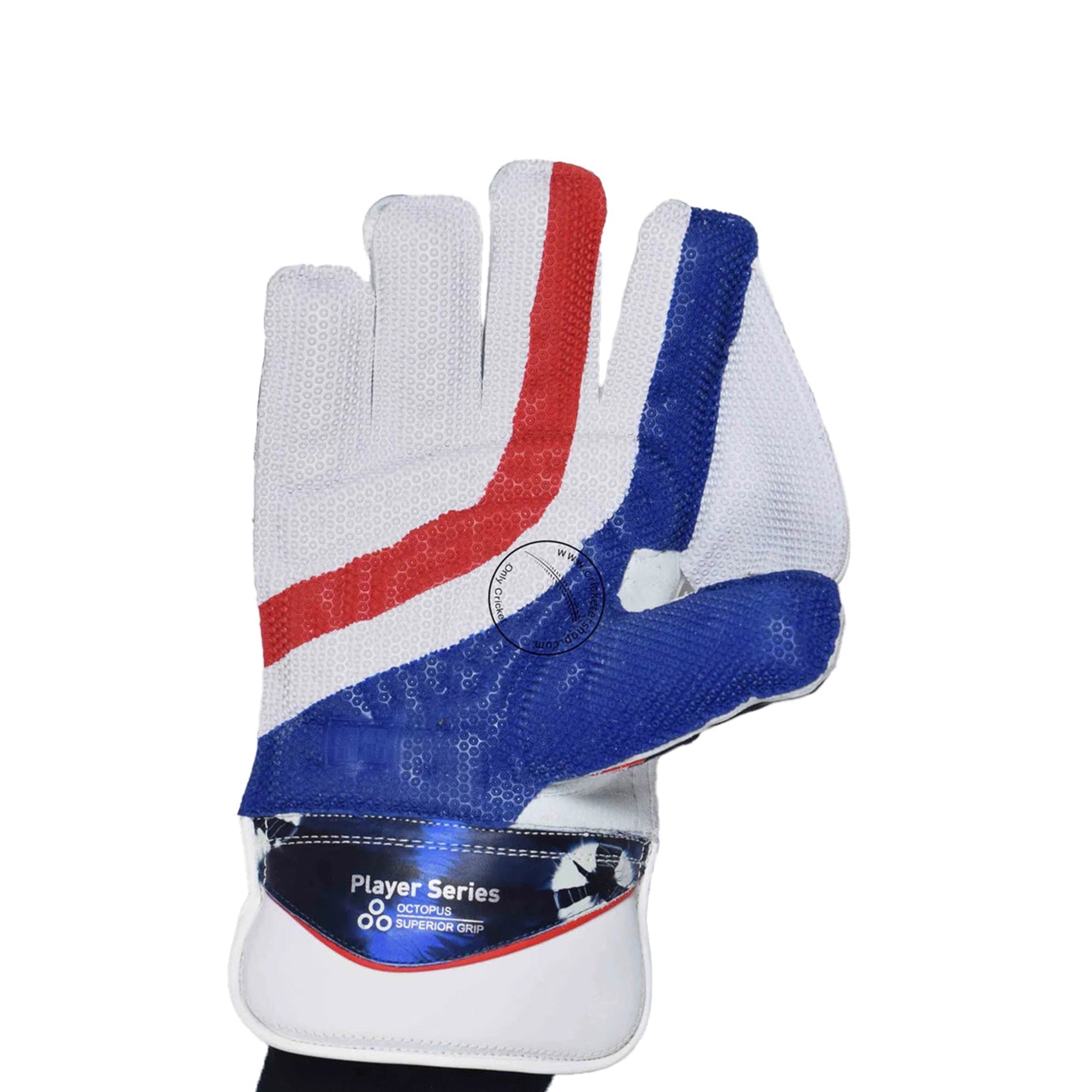 SS Player Series Cricket Wicket Keeping Gloves (Men)