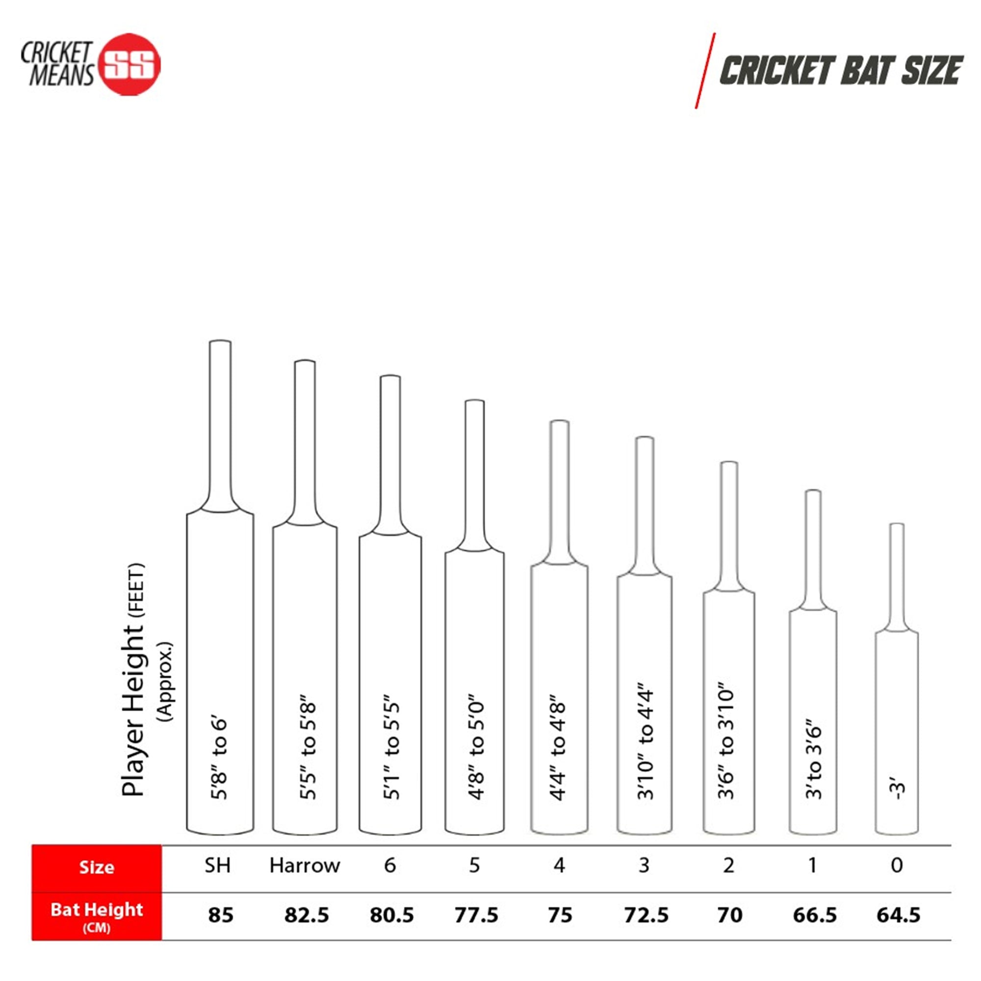 SS Professional English Willow Cricket Bat - SH