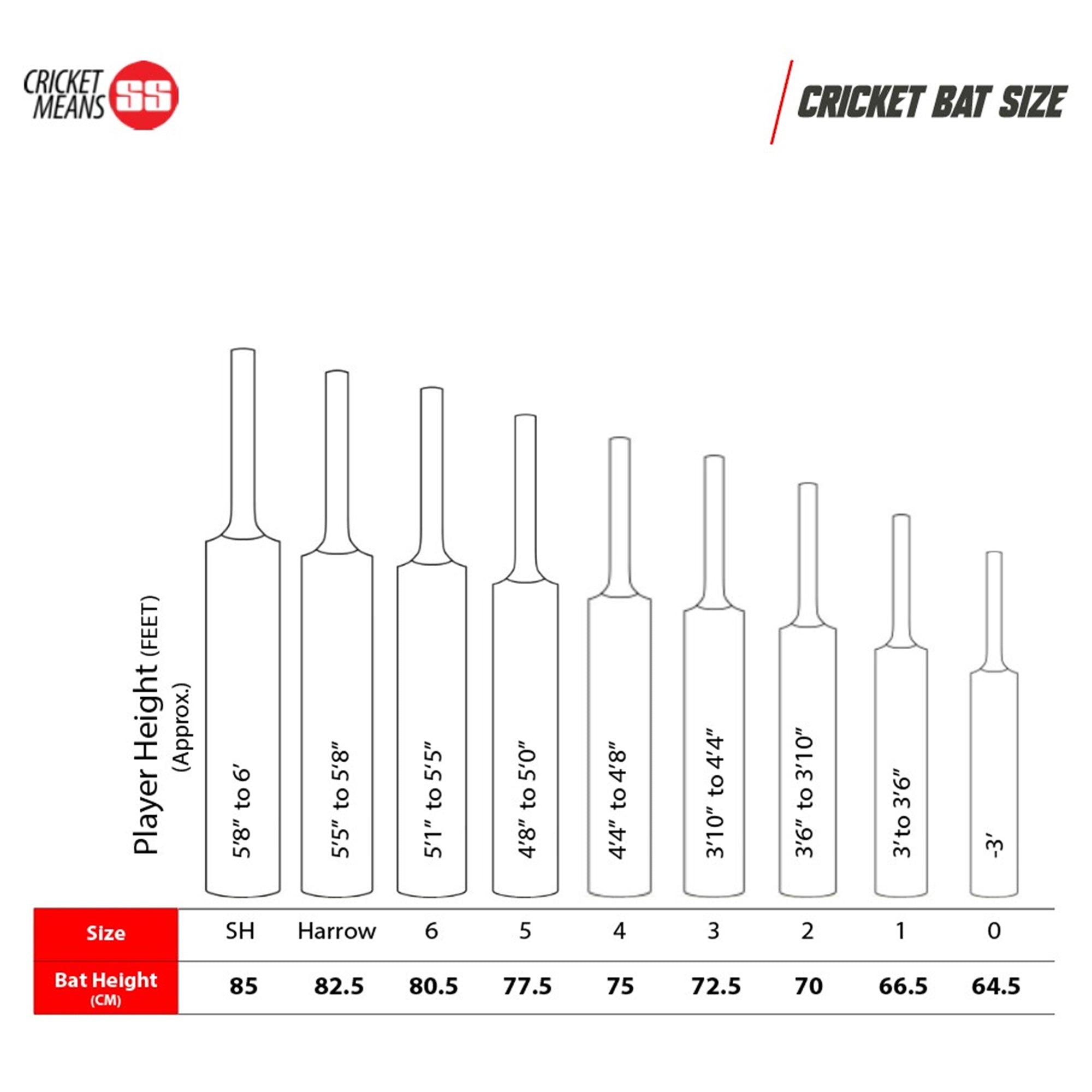SS Sir Richard English Willow Cricket Bat - SH