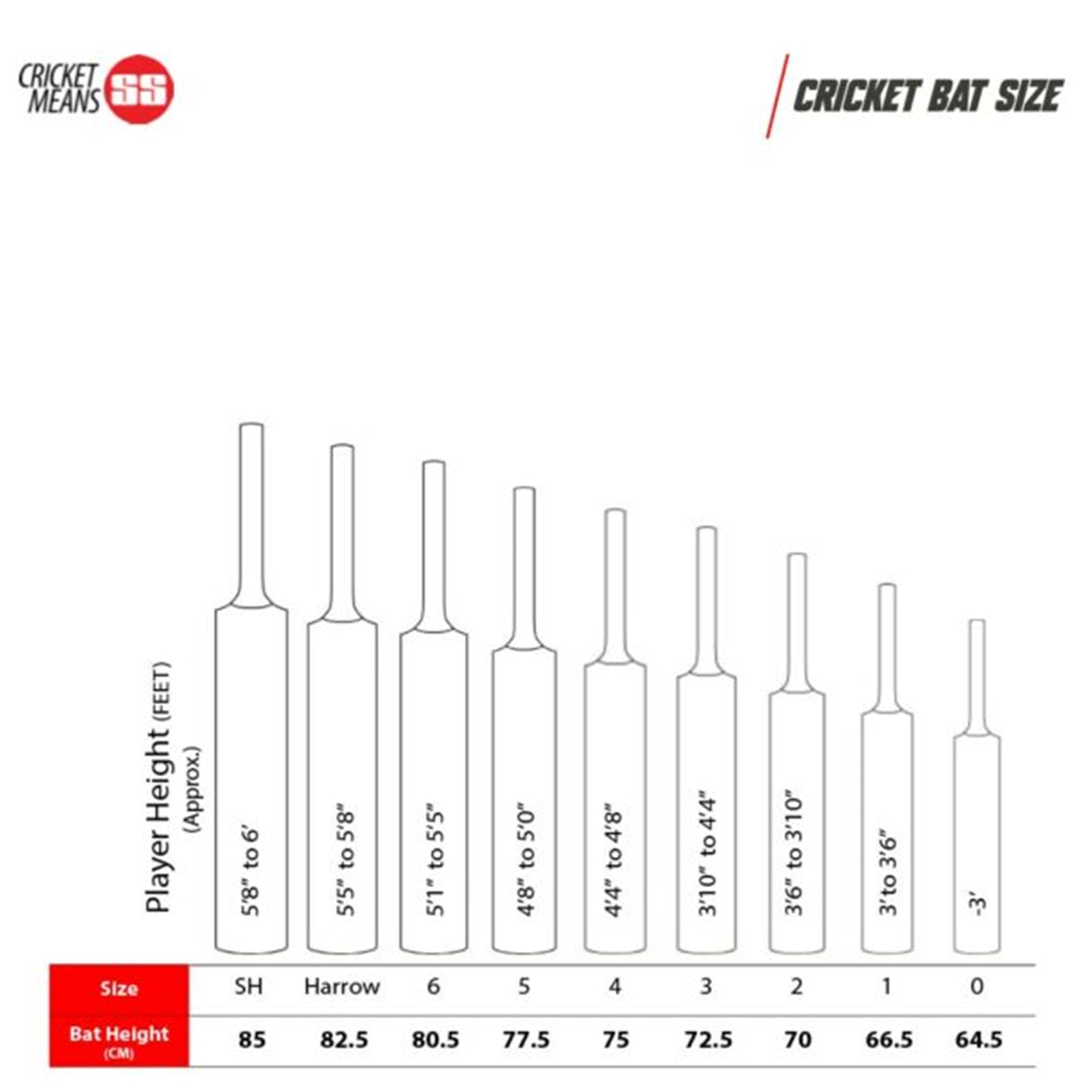 SS Sword English Willow Cricket Bat – SH