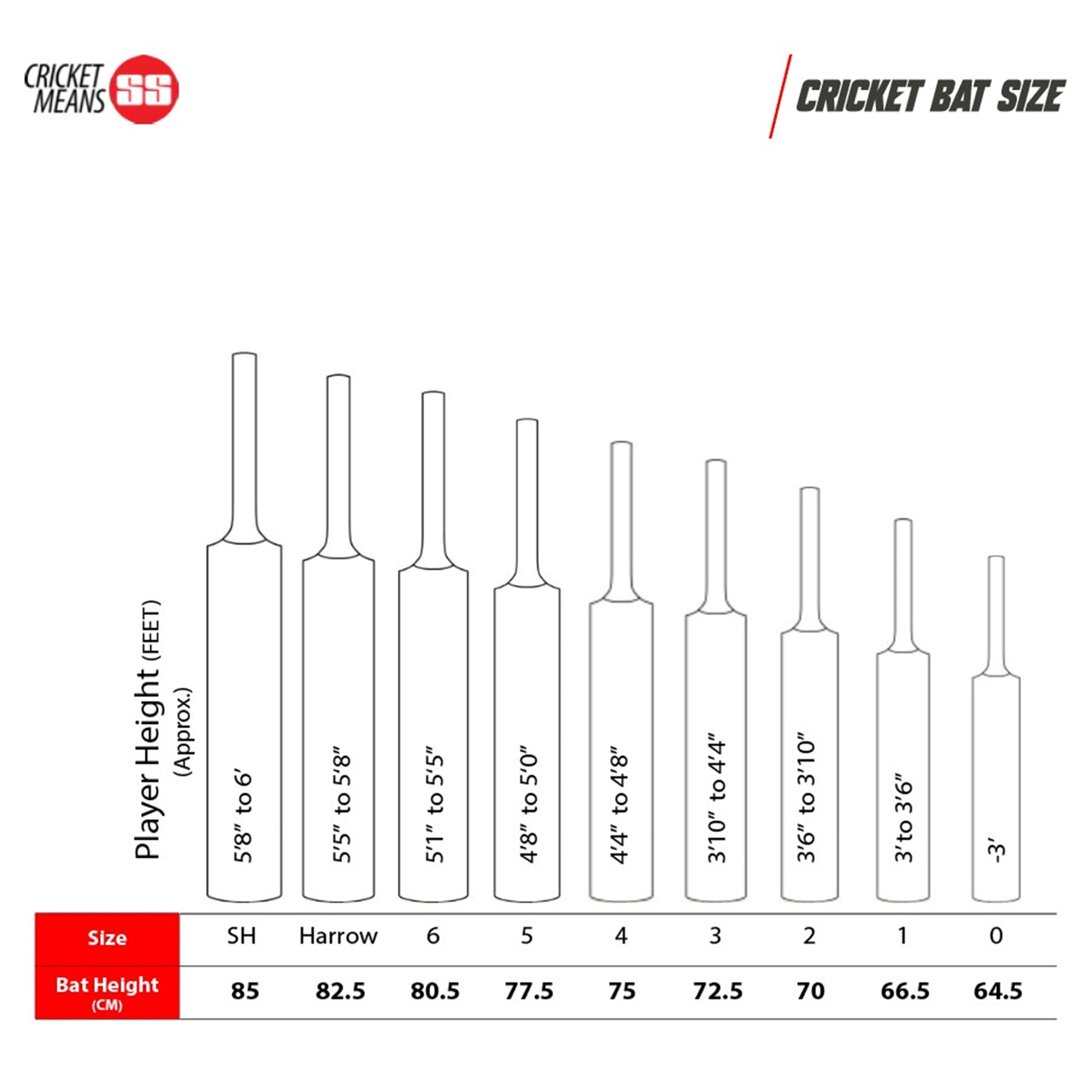 TON Glory English Willow Cricket Bat -SH
