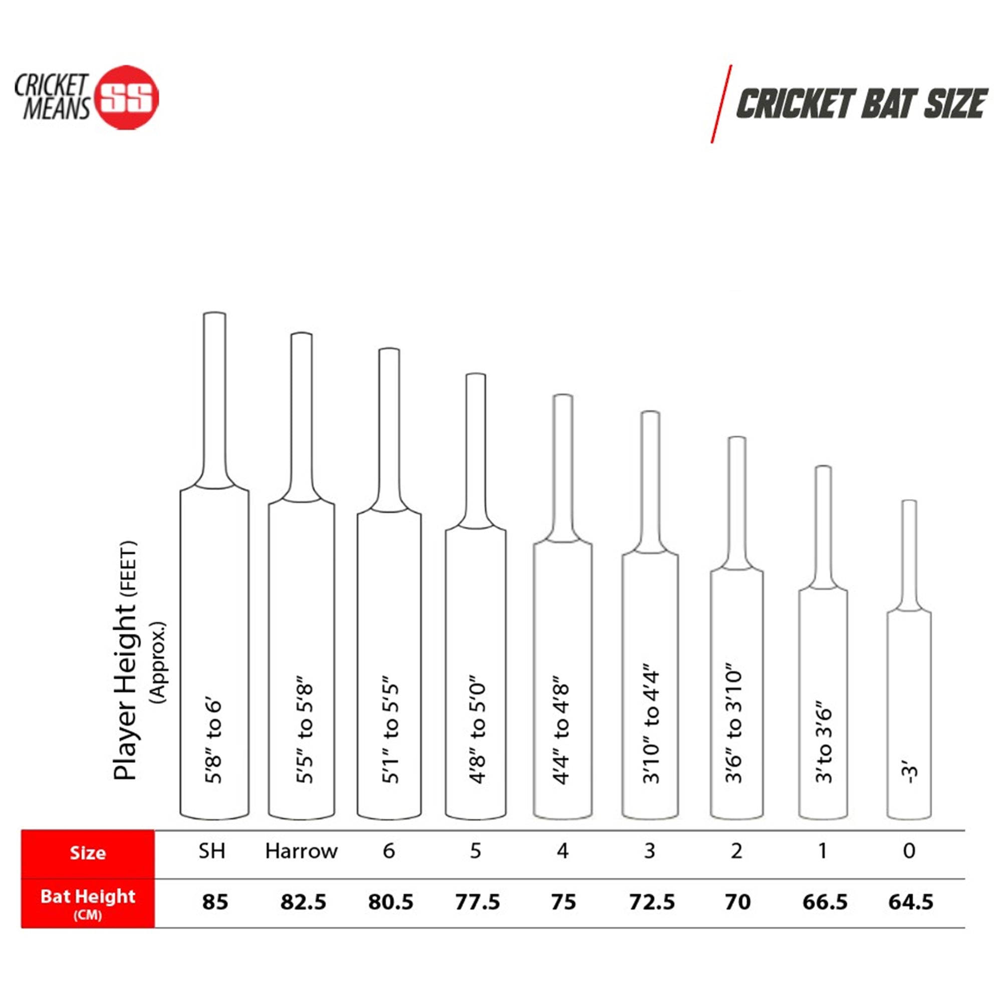 TON Gold Edition English Willow Cricket Bat - SH