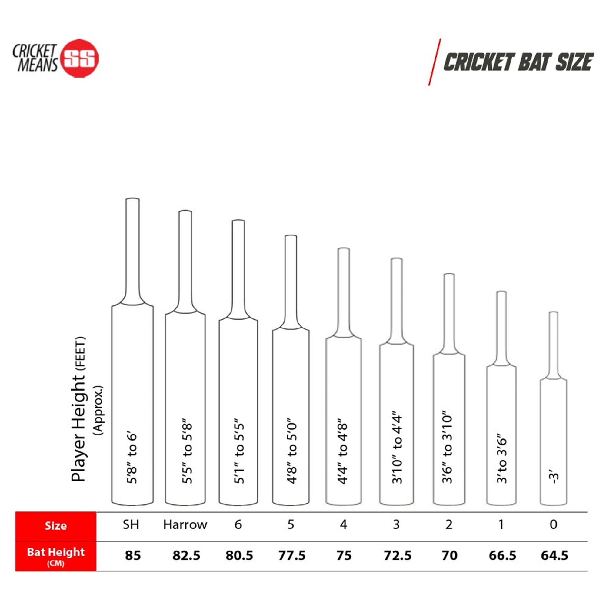 TON Legend English Willow Cricket Bat – SH
