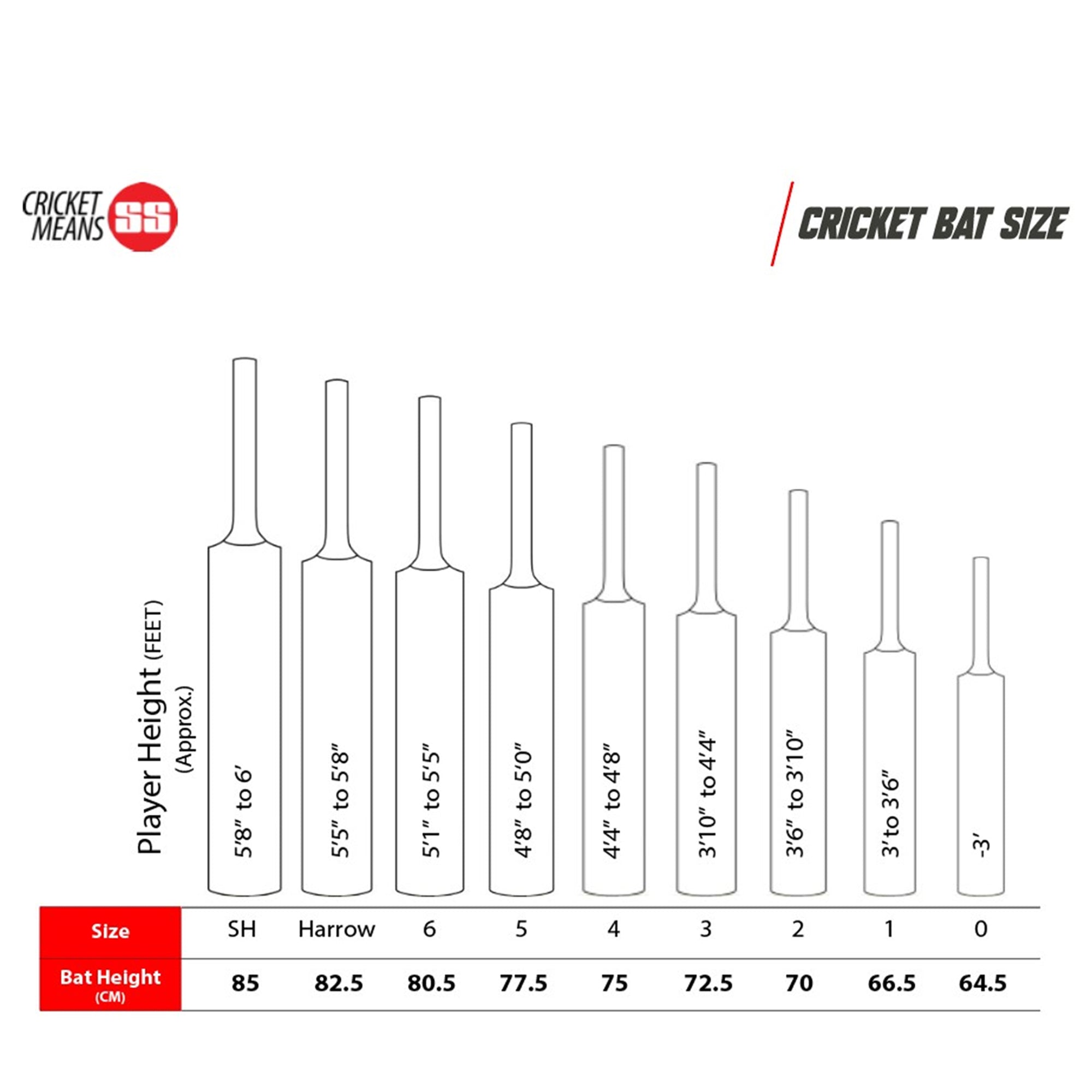 TON Player Edition English Willow Bat- SH