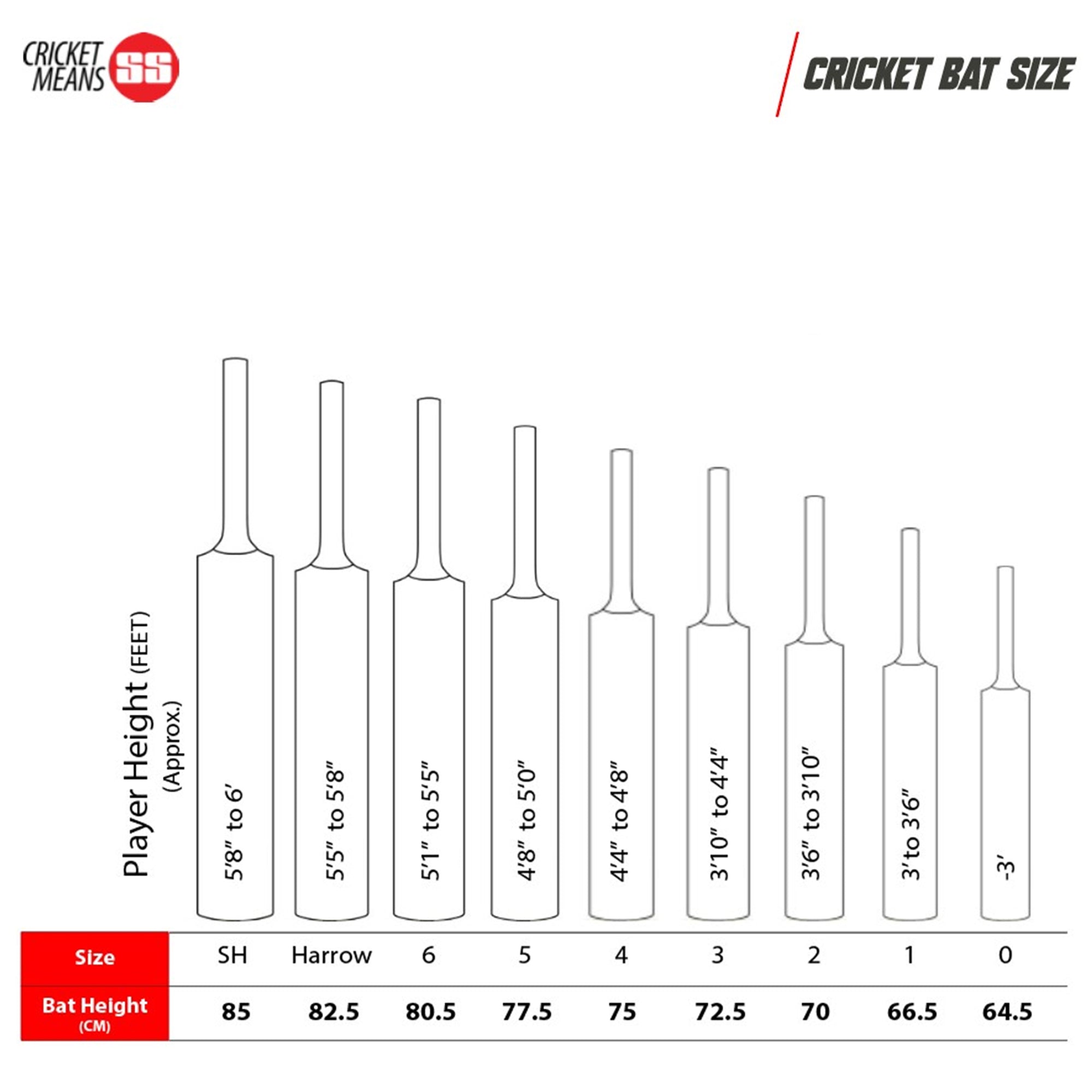 TON Power Plus English Willow Cricket Bat – SH