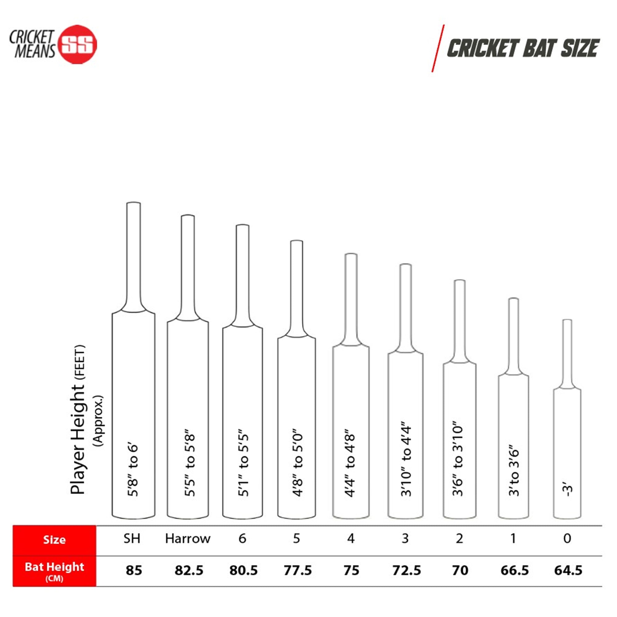 TON Slasher English Willow Cricket Bat - SH
