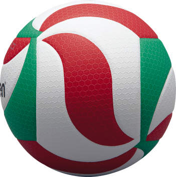 Molten V5M5000 Volleyball
