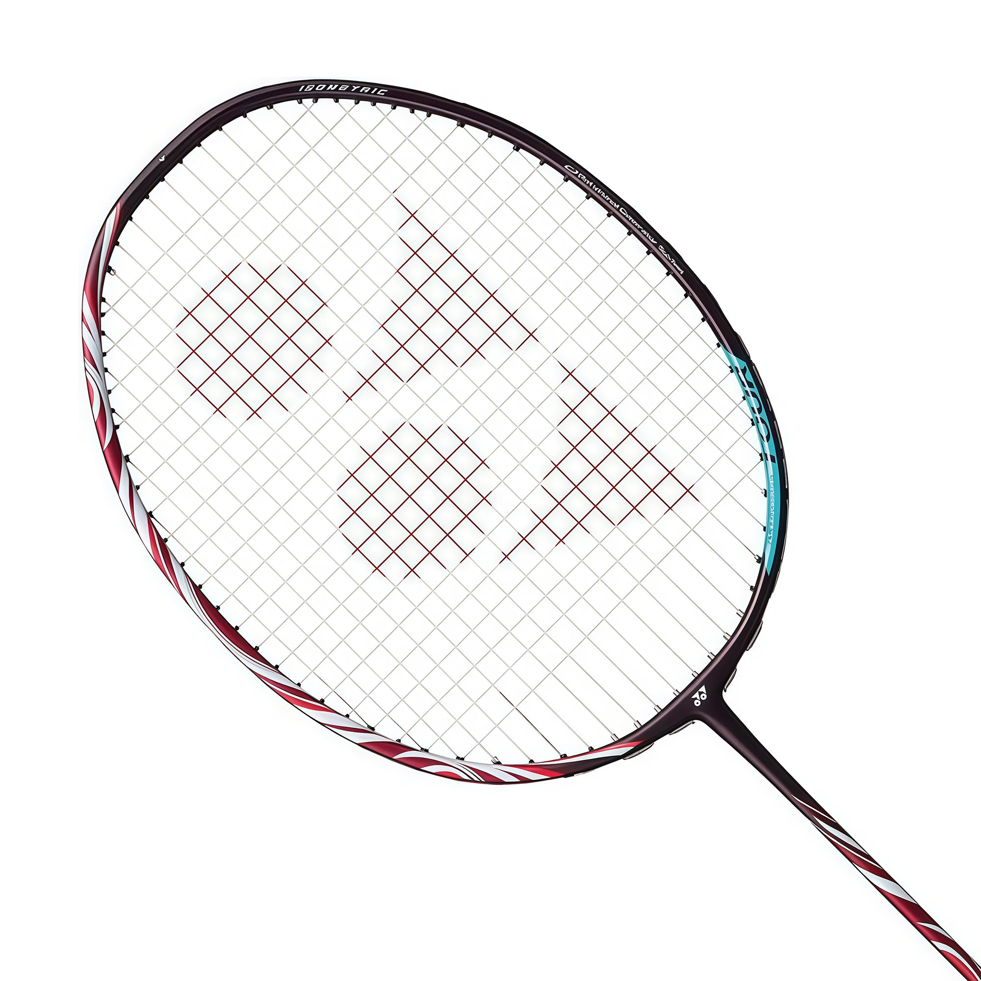 YONEX ASTROX 100 TOUR