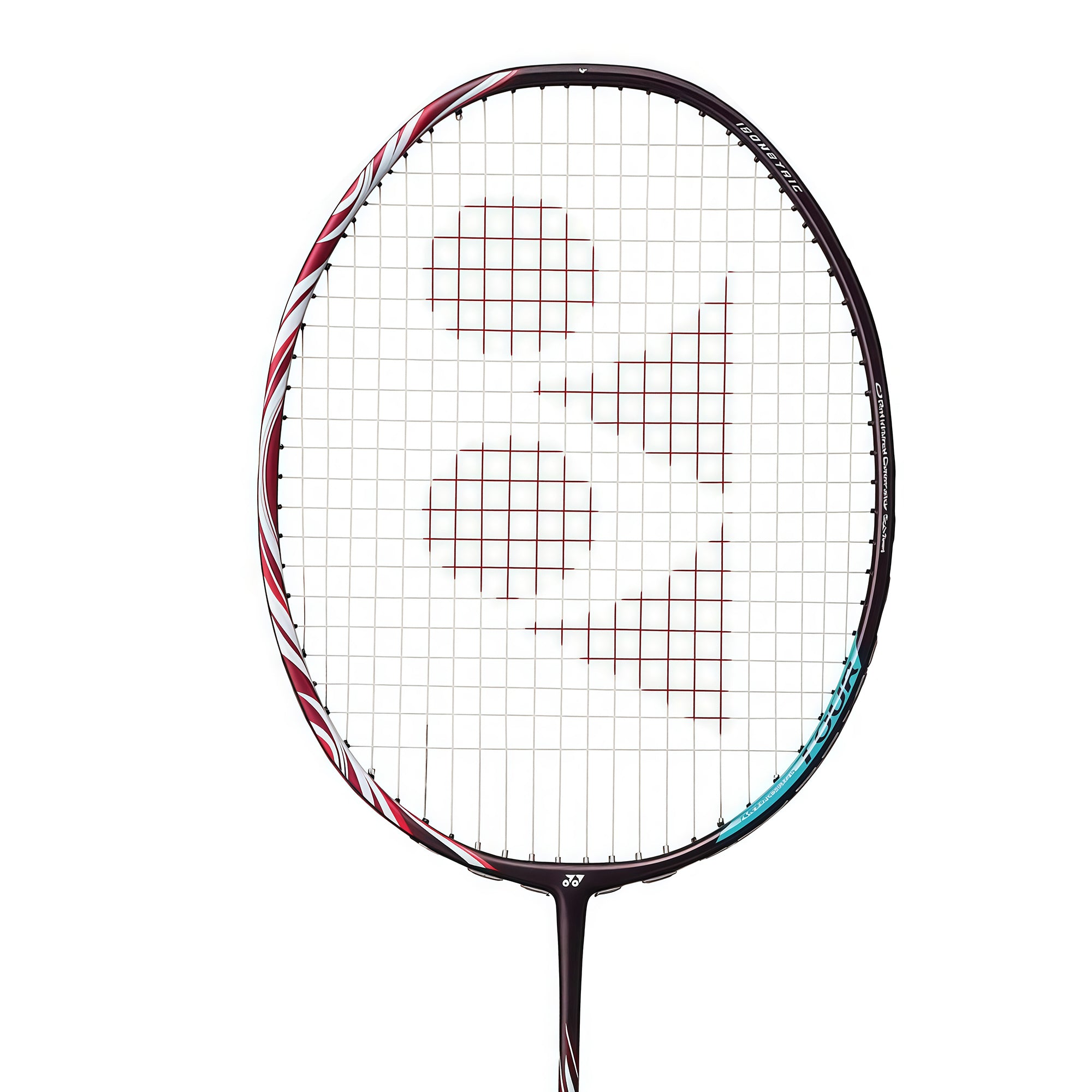 YONEX ASTROX 100 TOUR
